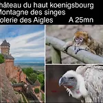 Le Noisetier Proche Europa Park, Rulantica Et Des Marche De Noel En Alsace * Sundhouse