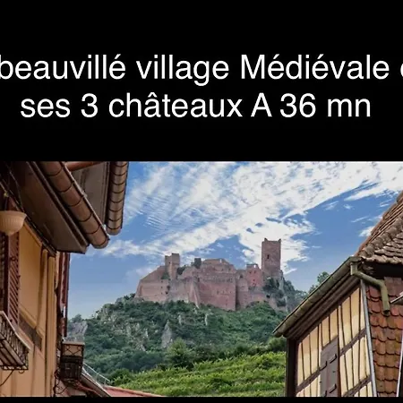 Holiday home Le Noisetier Proche Europa Park, Rulantica Et Des Marche De Noel En Alsace