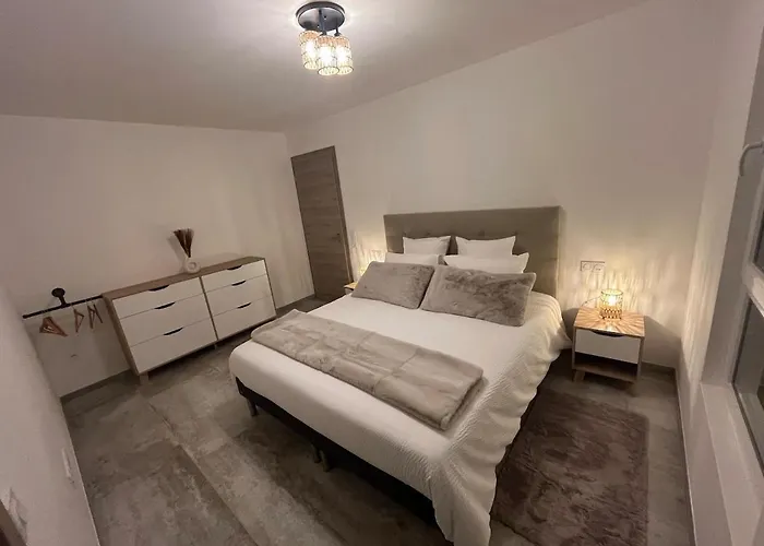 Le Noisetier Proche Europa Park Marcher De Noel Et Carnaval * Sundhouse